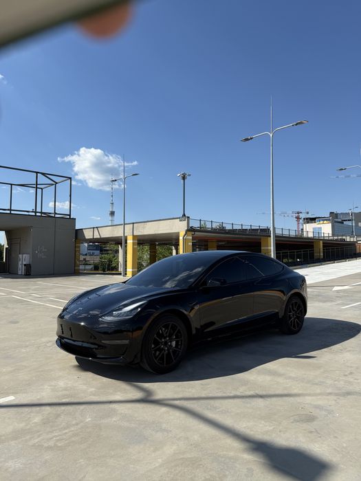 Tesla model 3 2019