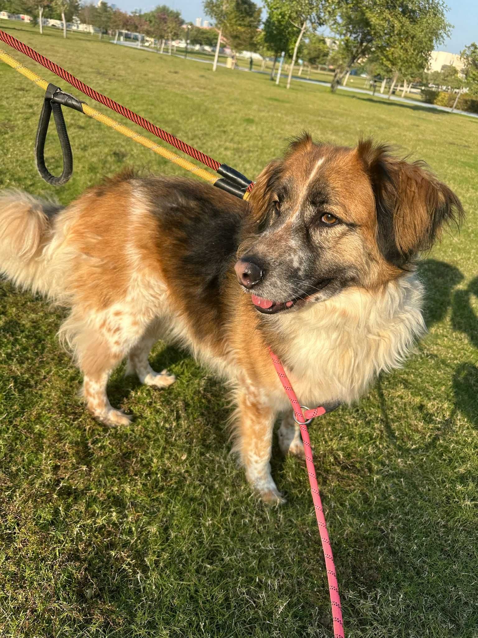 Layla, pozytywna dusza towarzystwa i kompan podróży
