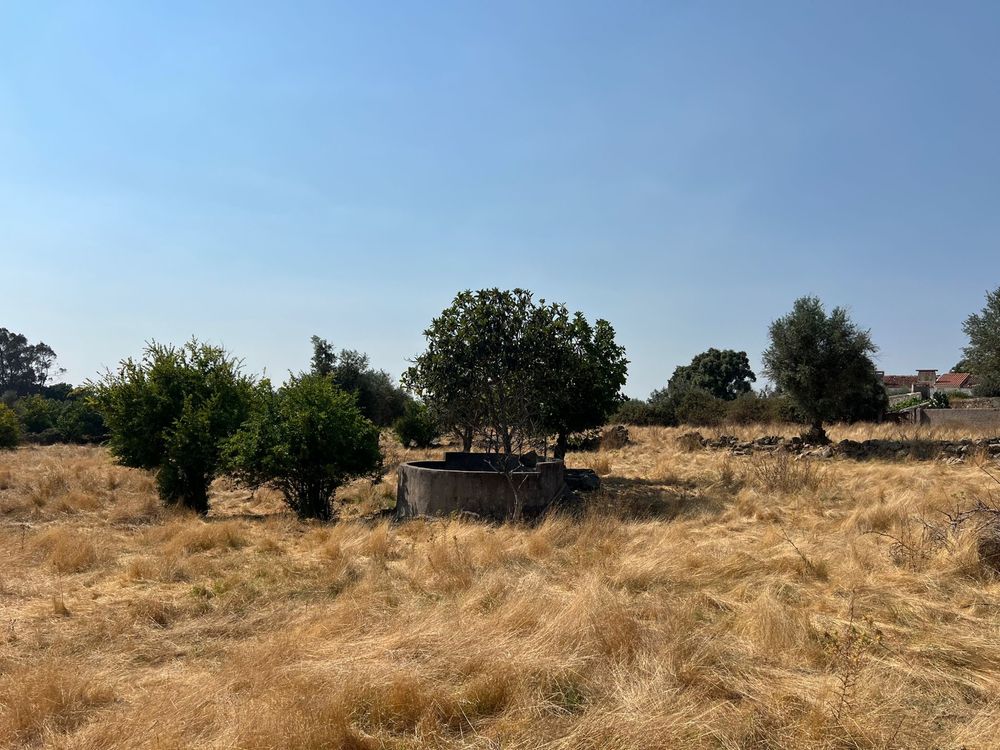 Terreno urbano venda