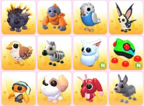 Пети адопт ми в гарному стані