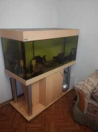 Продам видовой немецкий аквариум с тумбой