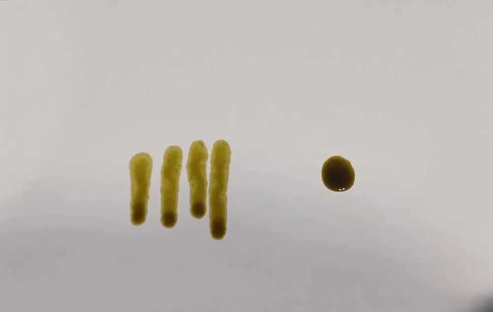 Olejek Konopny 12% CBD Full Spectrum