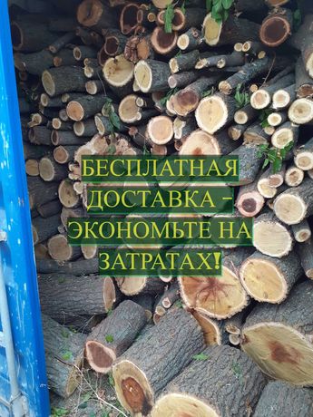 Дрова метровка твердых пород с бесплатной доставкой в Одессе и области