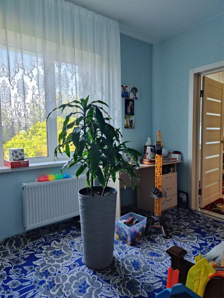 Продам будинок Гориславці
