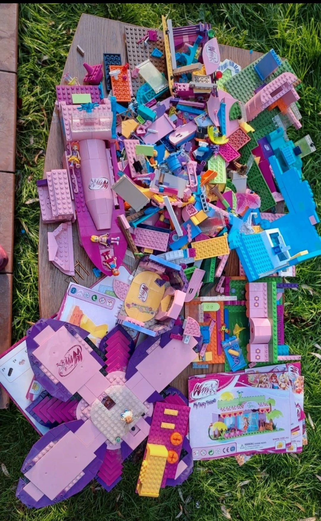 Winx klocki cobi