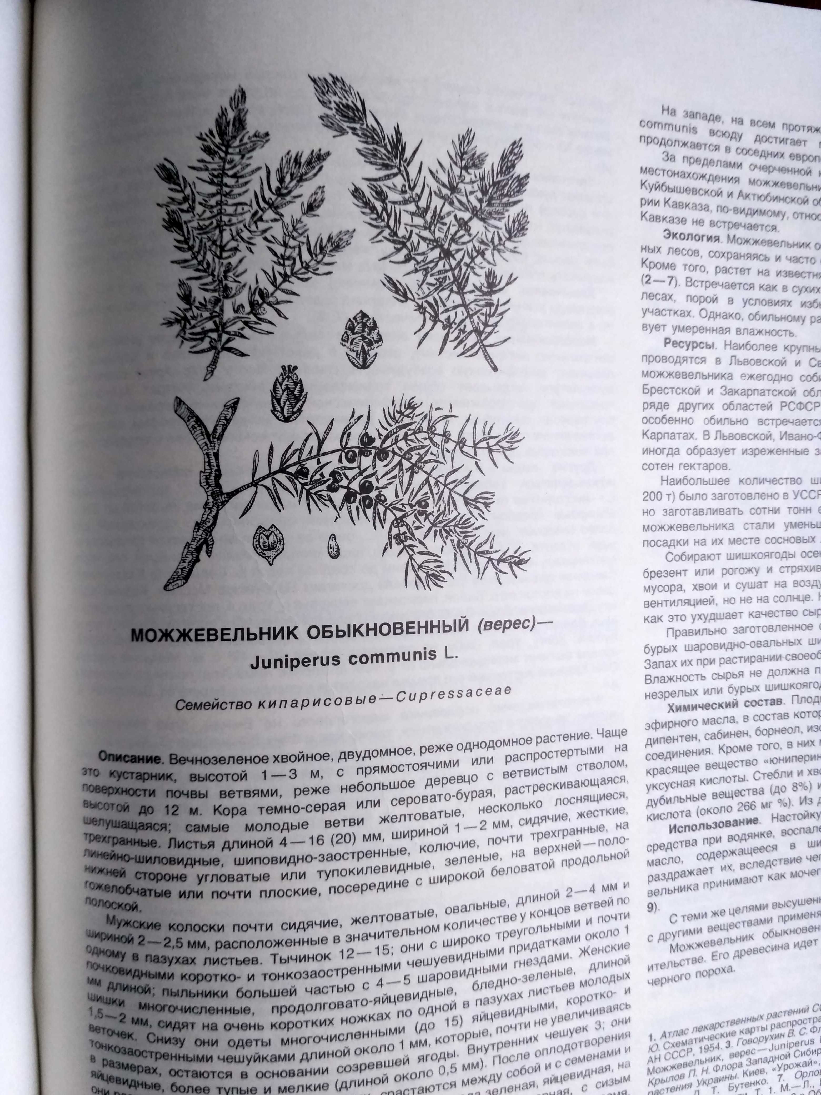 Атлас ареалов и ресурсов лекарственных растений СССР 39*29см