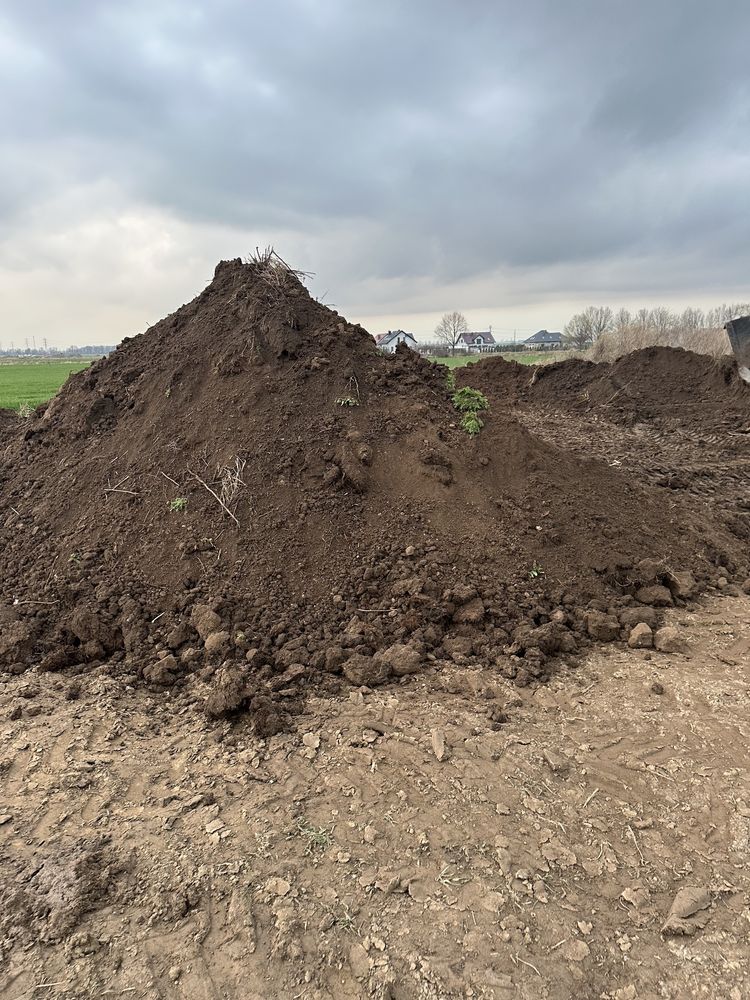 Ziemia ogrodowa humus