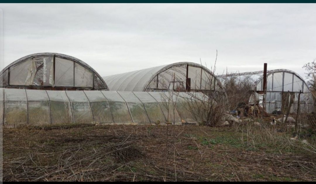 Продам балагани,теплиці.