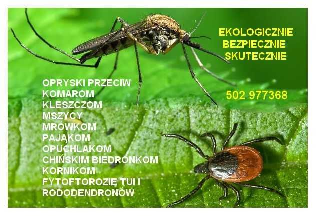 Odkleszczanie i odkomarzanie, opryski. Bezpiecznie i skutecznie.