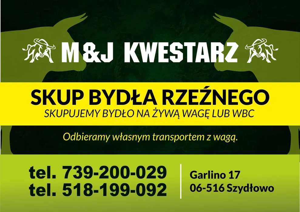 SKUP BYDŁA Rzeźnego I Hodowlanego\cieląt\odsadków\żarłaków