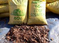 kora sosnowa80 l