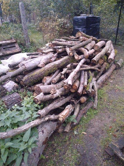 Drewno bukowe opałowe