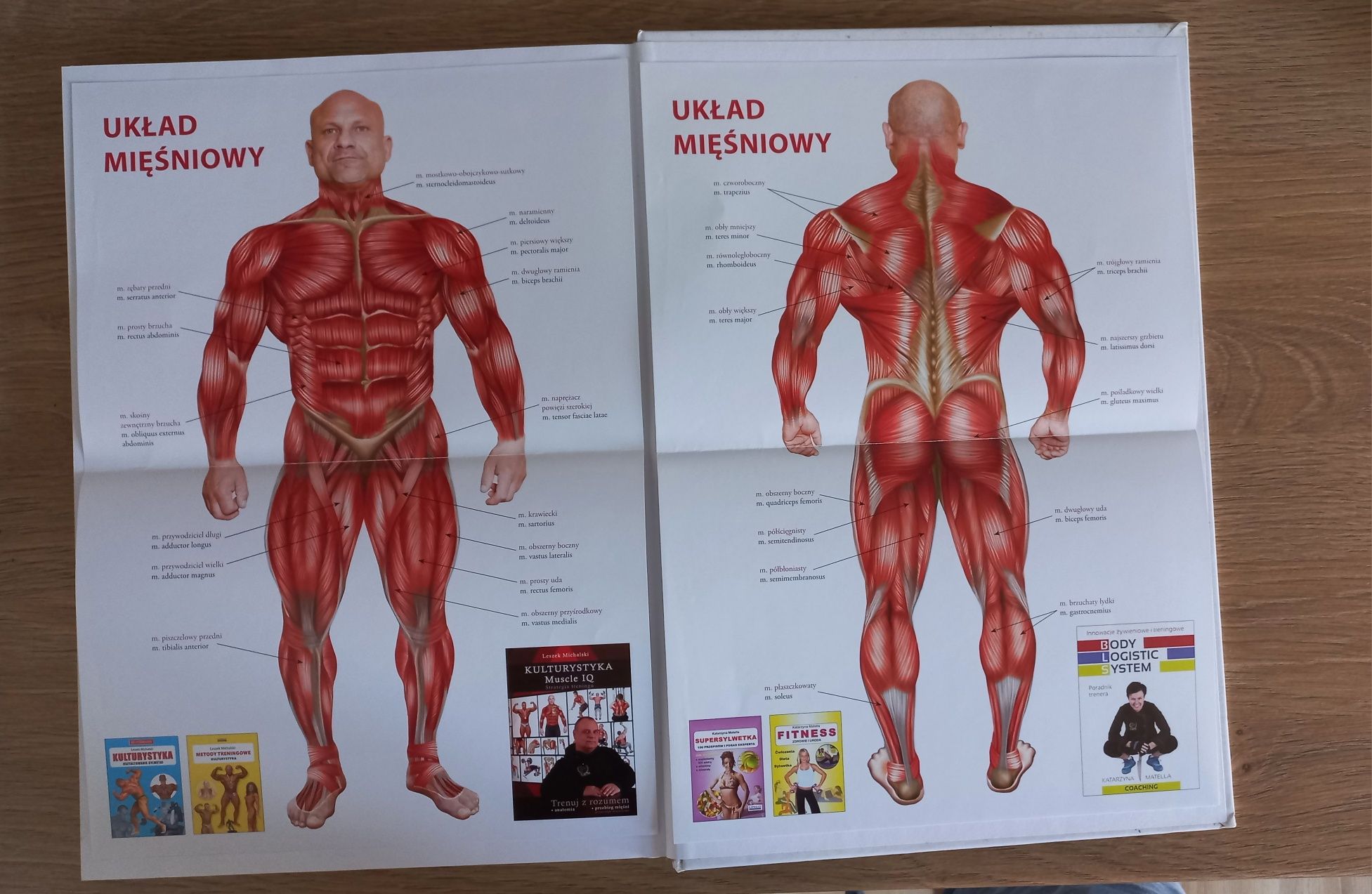 KULTURYSTYKA Muscle IQ Anatomia treningu siłowego Leszek Michalski