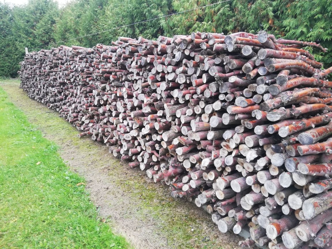 Drewno opałowe jabłoniowe - drobne