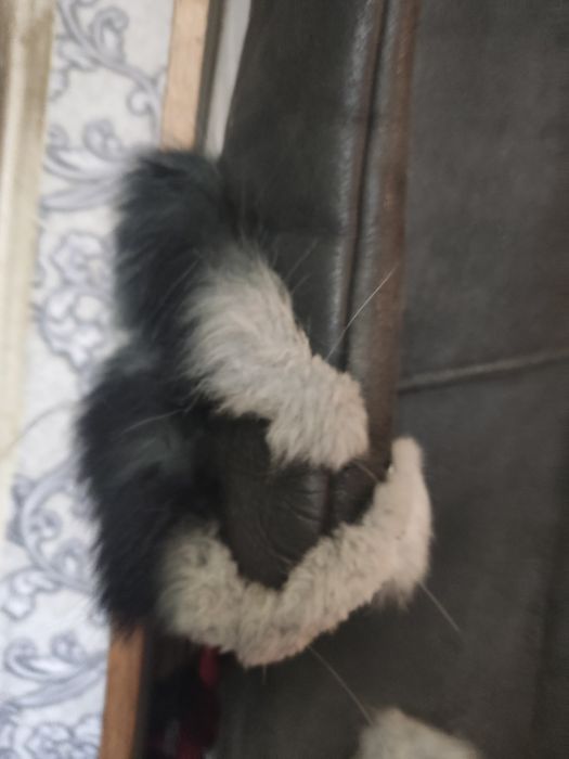 Продам натуральную женскую дублёнку