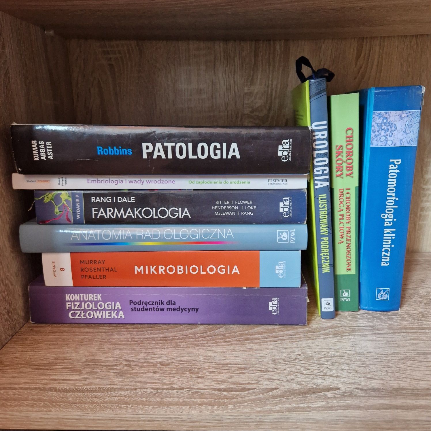 Anatomia radiologiczna