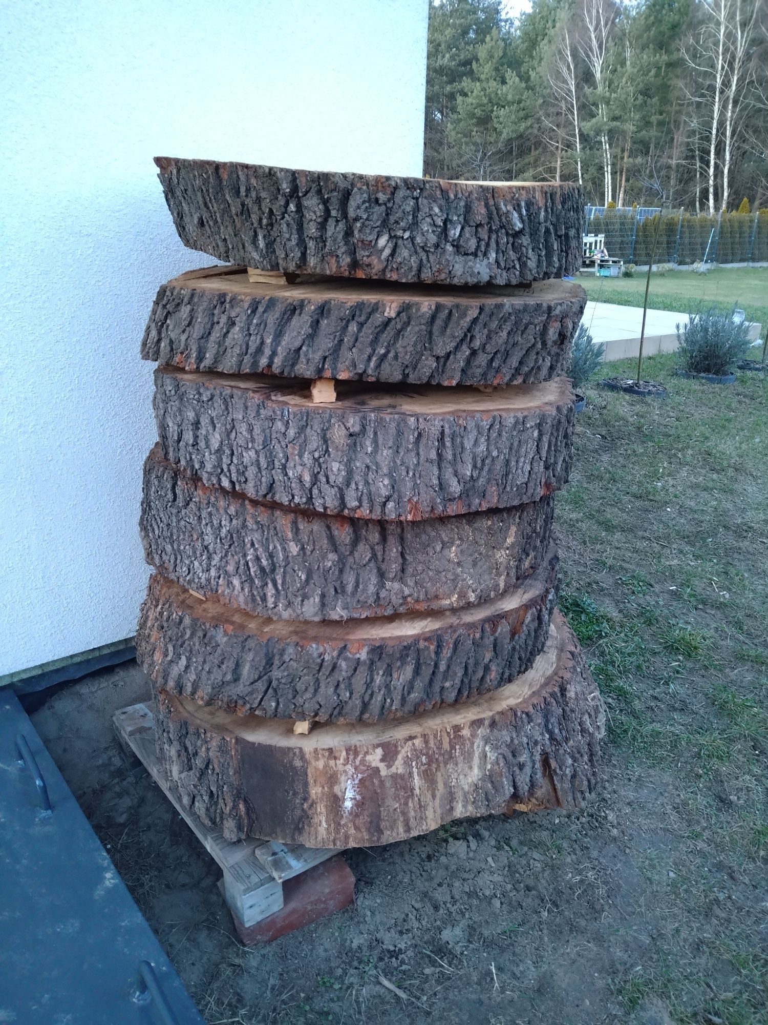 Plastry drewna dębowego na stolik