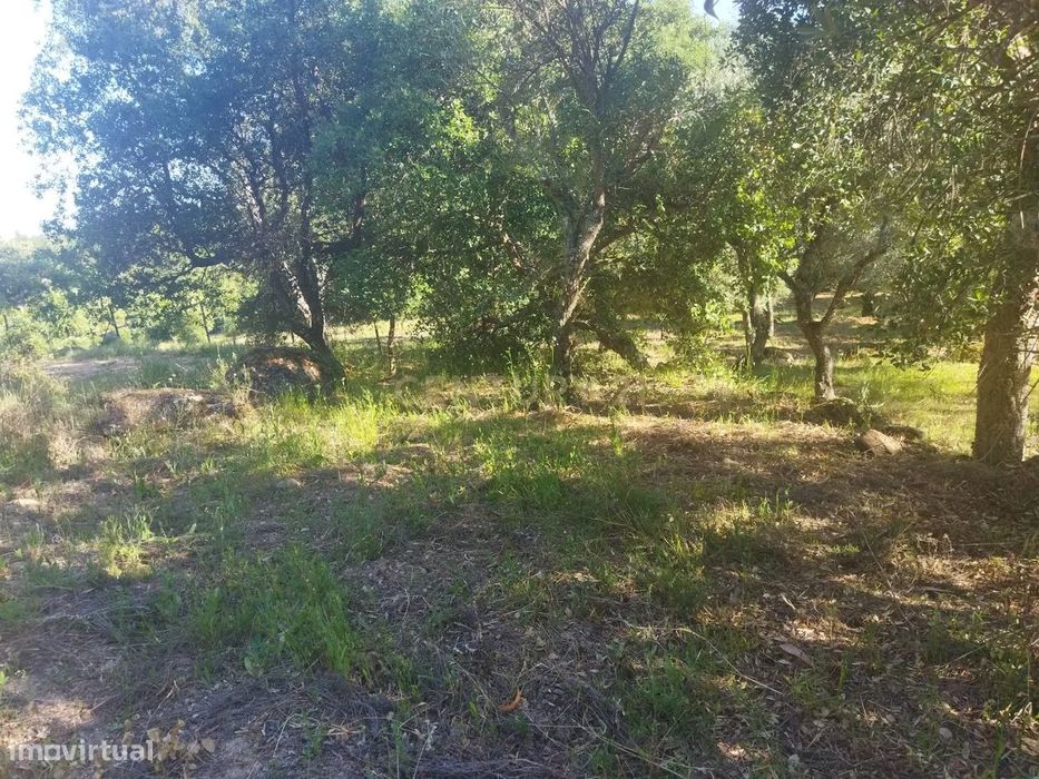 Terreno rústico | São Vicente da Beira, Castelo Branco