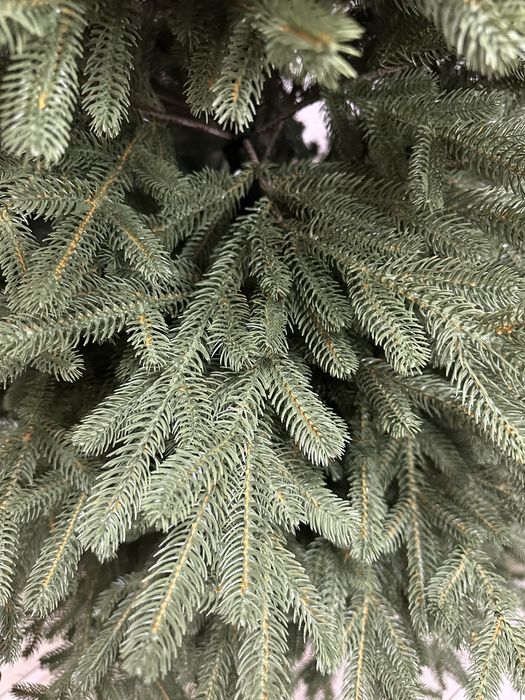 !!!АКЦІЯ!!! Лита альпійська ялинка