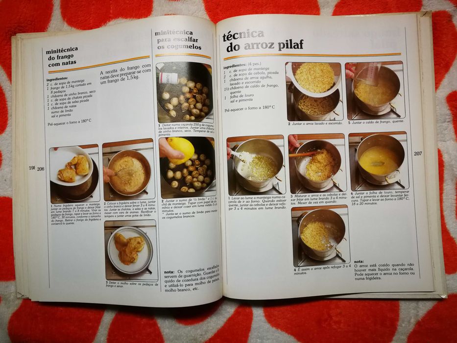 Curso intensivo de cozinha por chefe Pol Martin 4 volumes