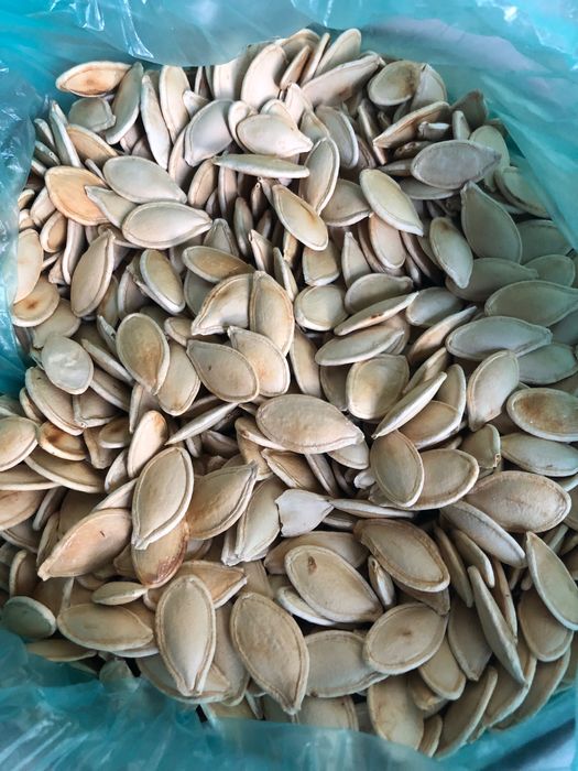 Семена     тыквы