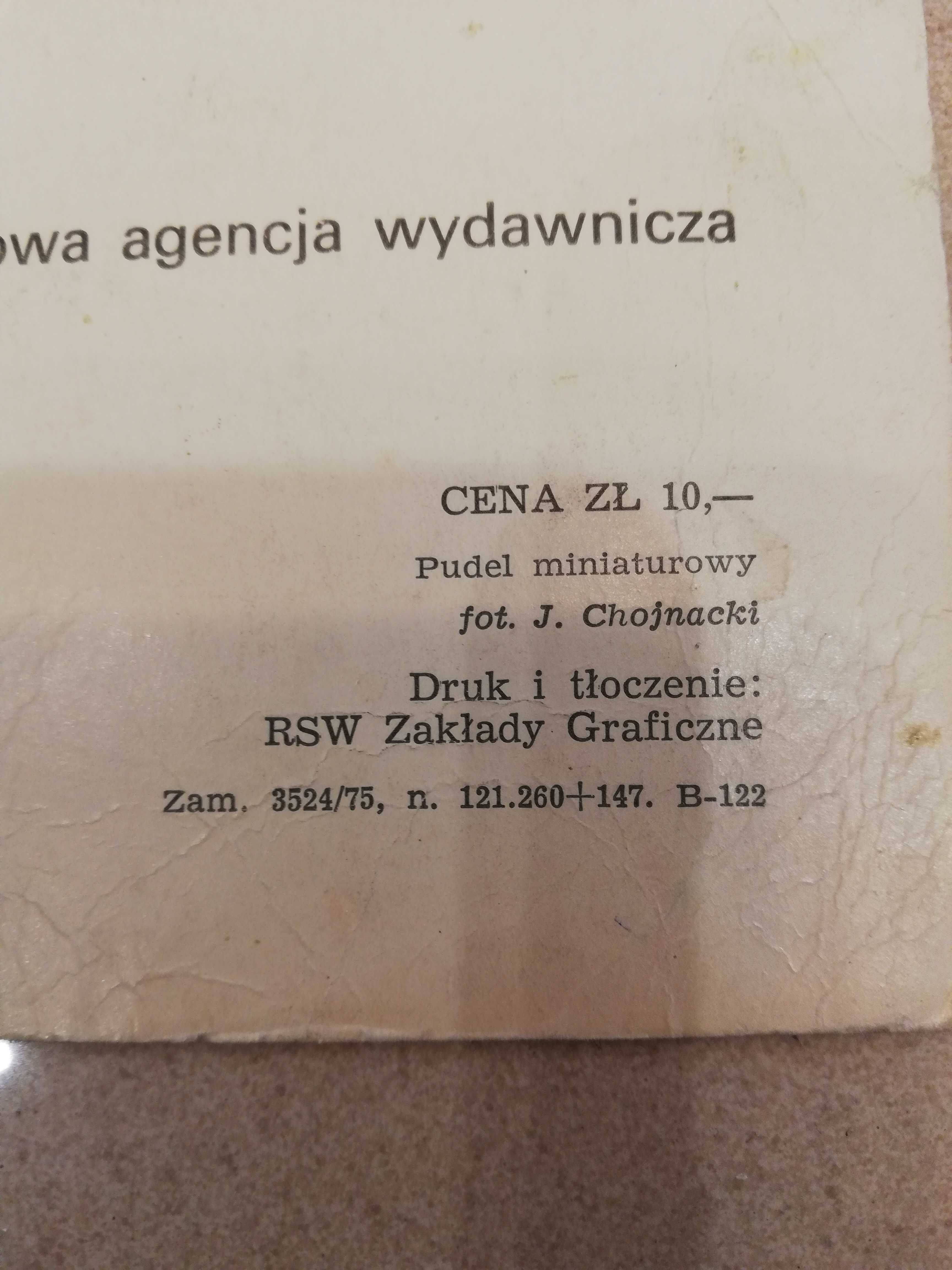 Pocztówka dźwiękowa płyta ABBA I Doo 1975r