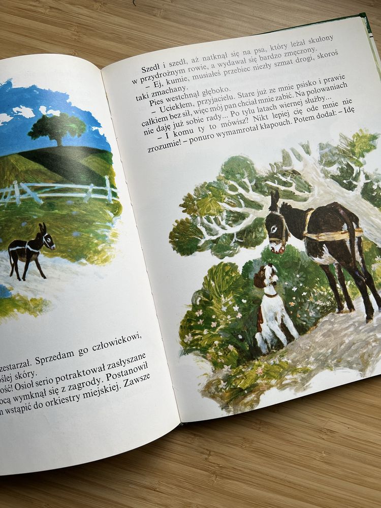 Najpiękniejsze baśnie, najwięksi bajkopisarze: Grimm