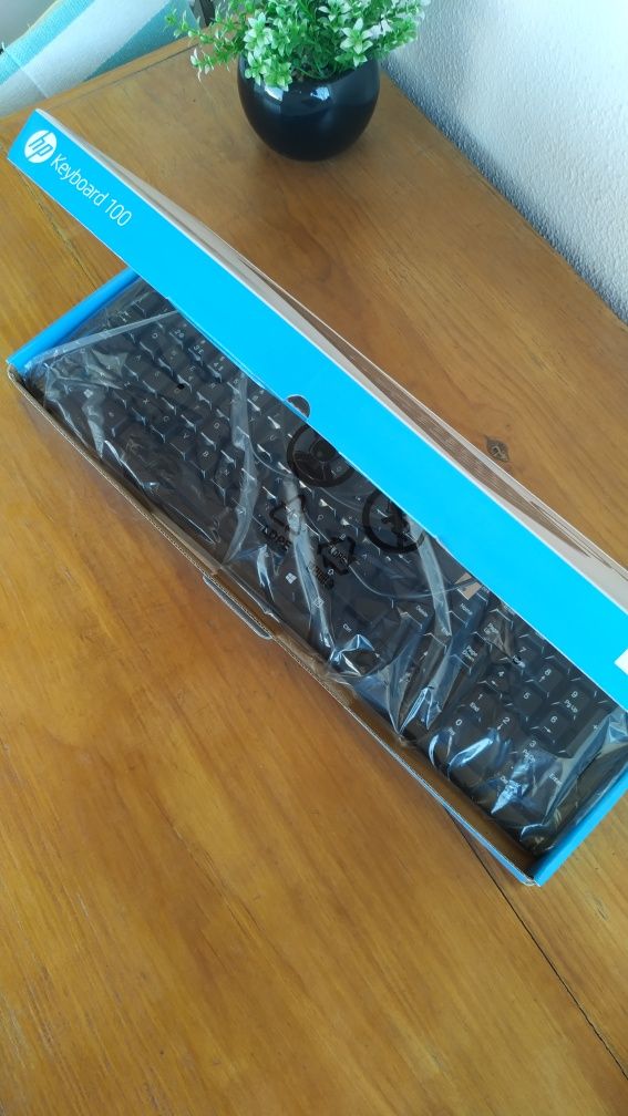 Teclado HP 100 -