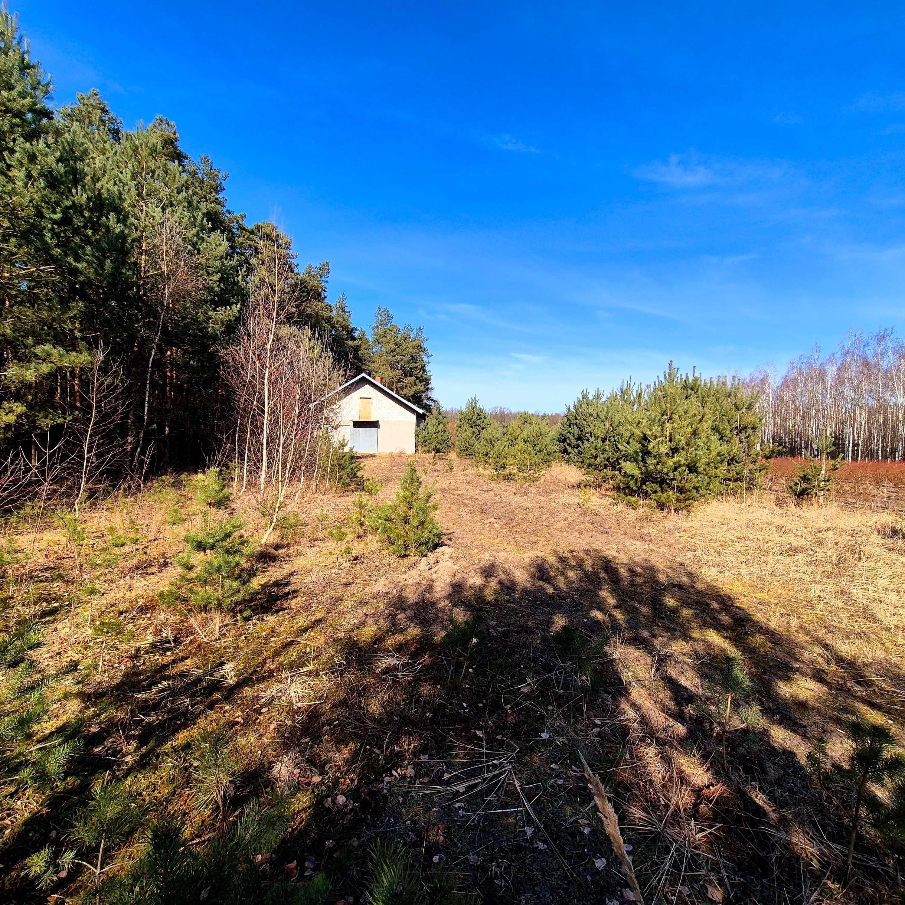Działka 5481 m2, Budynek gos. (stajnia), Strobów gm, Skierniewice