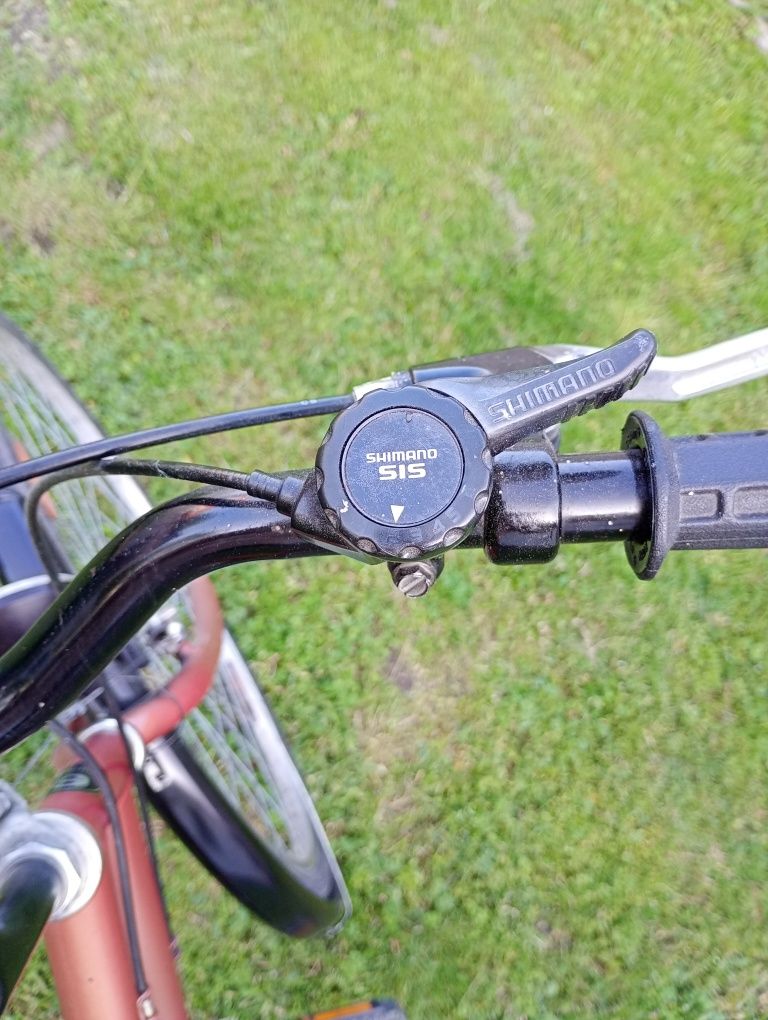 Rower damka Sprick 28"