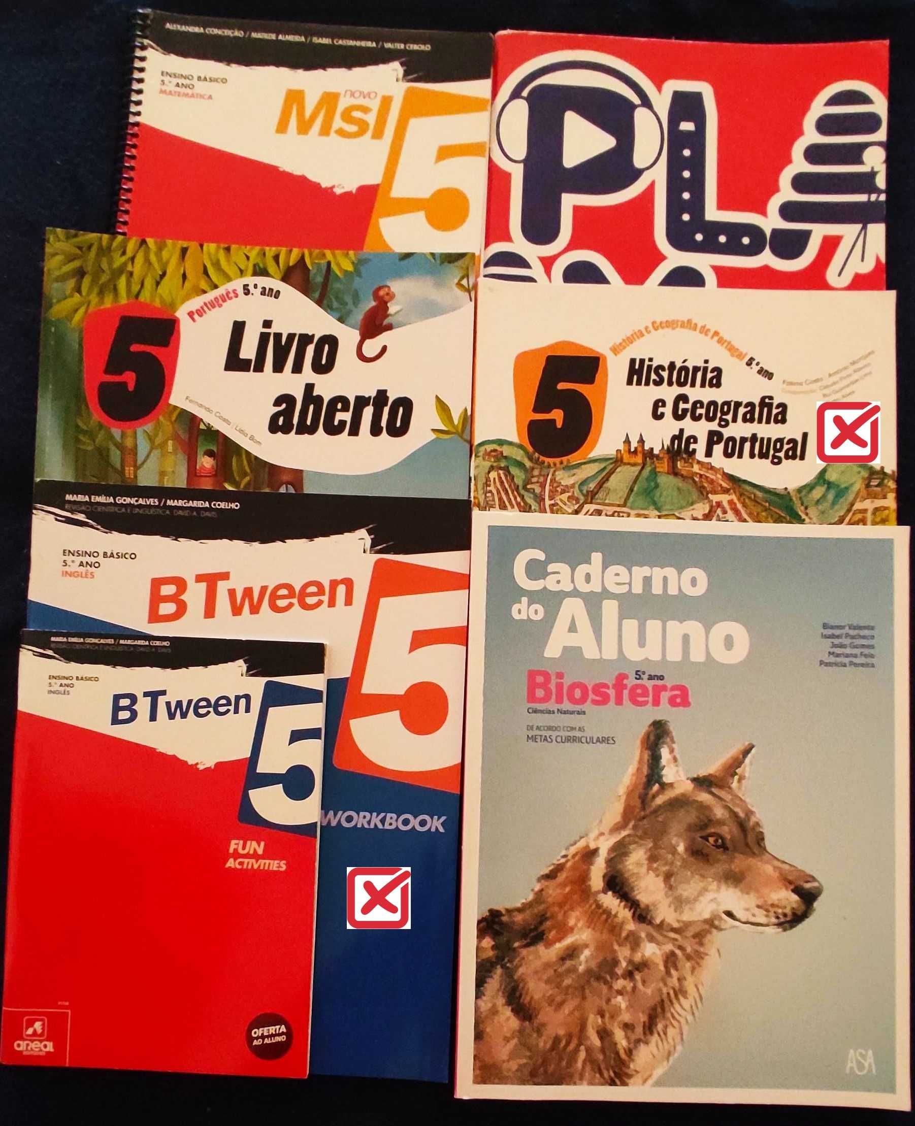 livros escolares de 5º ano