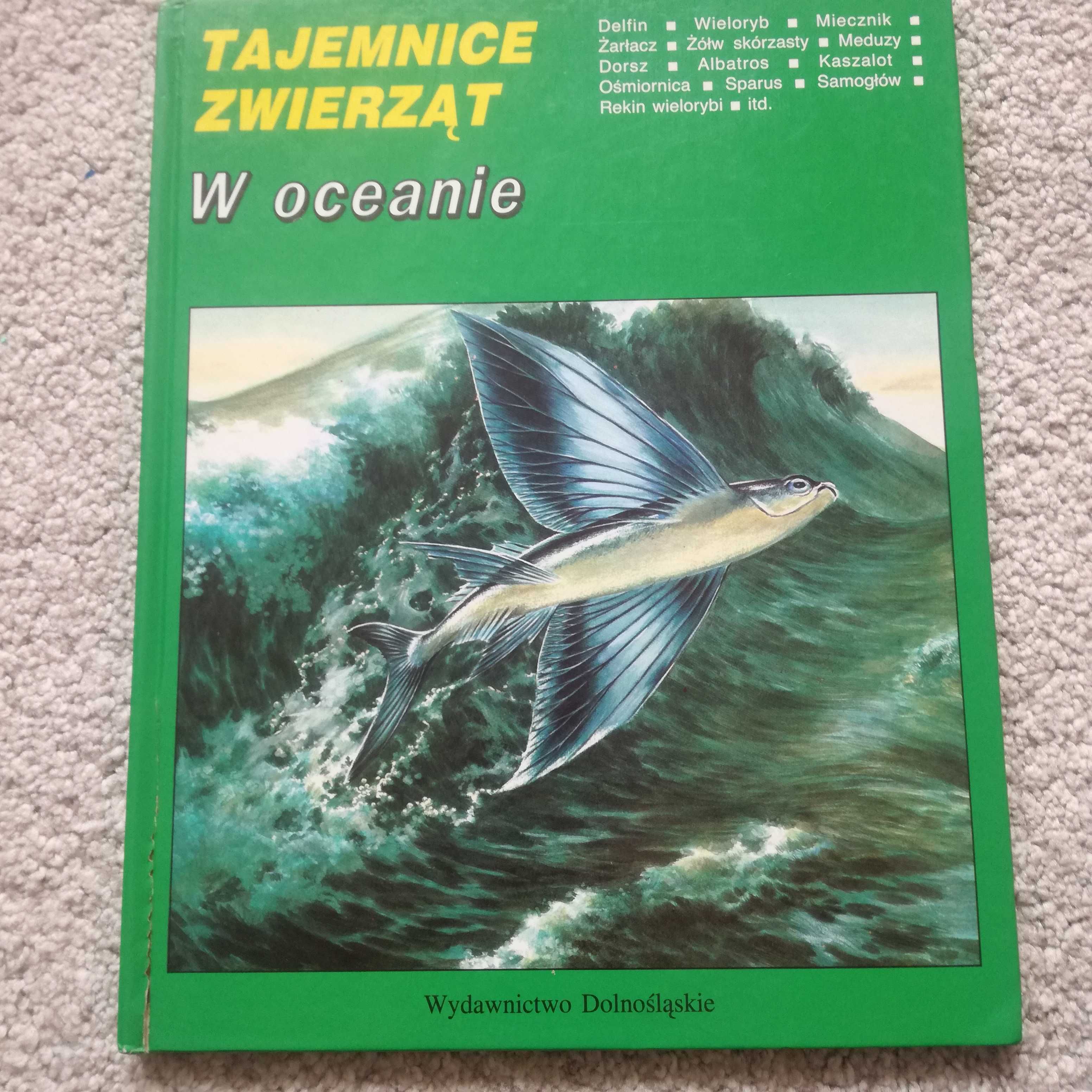 W oceanie, tajemnice zwierząt