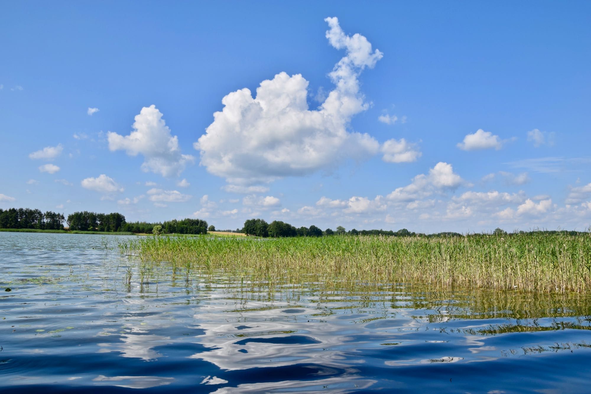 Działka nad jeziorem Gremzdy