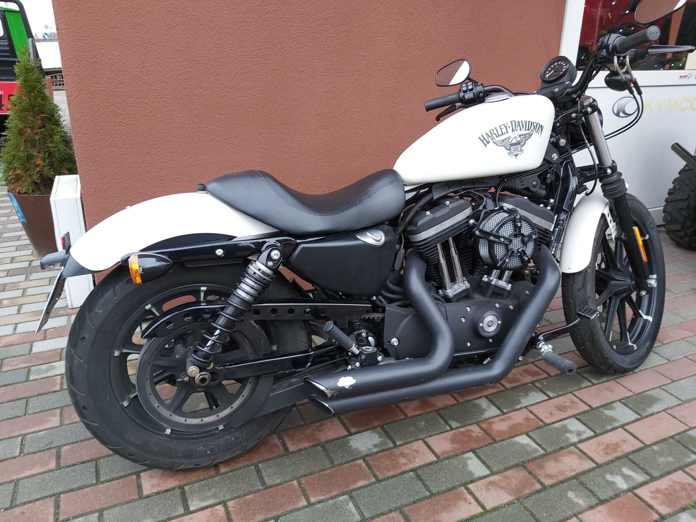 Harley-Davidson Sportster Iron 883, polski salon, faktura Vat