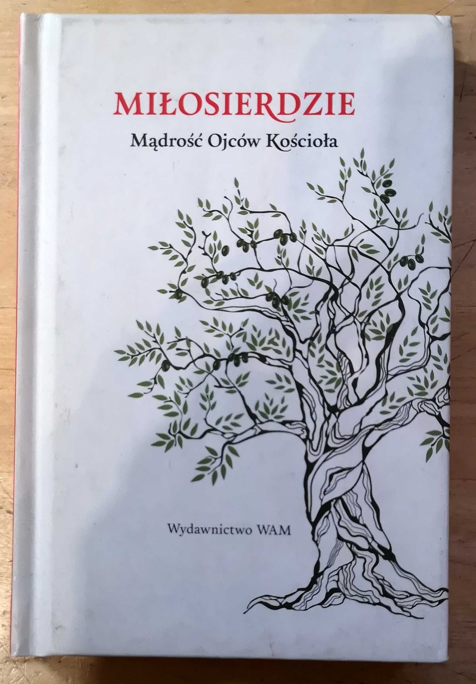 Miłosierdzie Mądrość Ojców Kościoła Praca zbiorowa