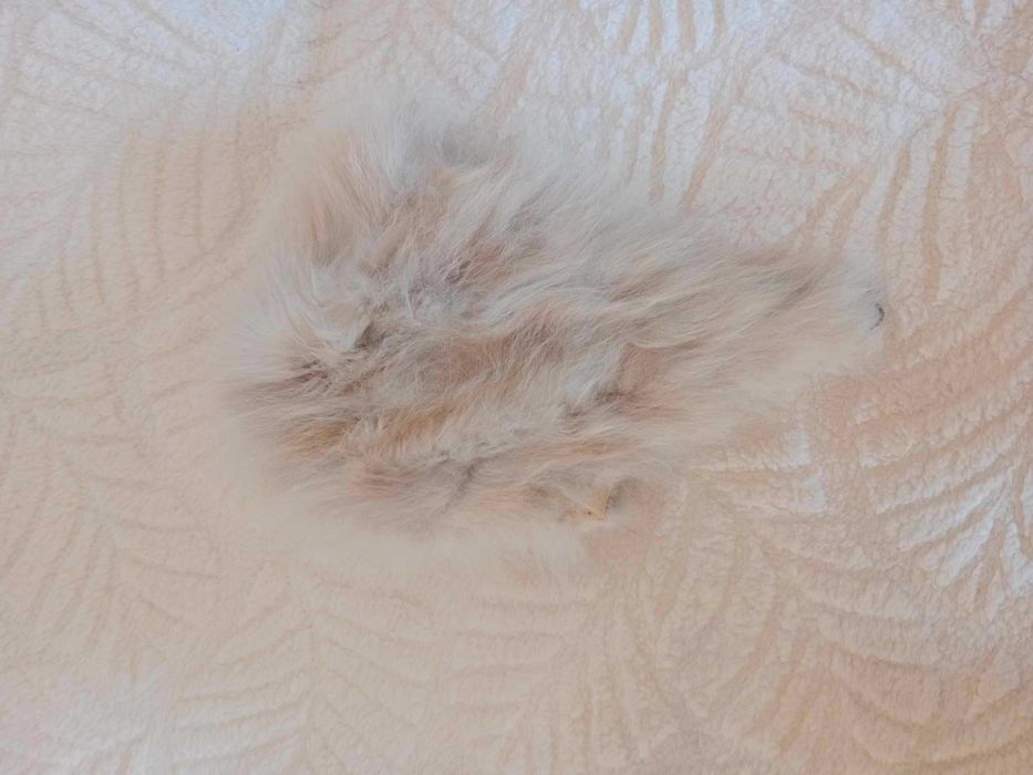 Jasna czapka ze sztucznego włosia