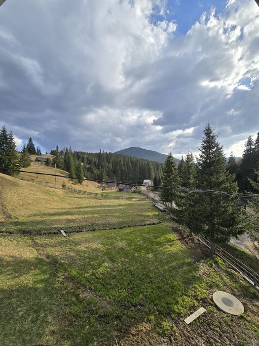 Synevyr House Житло подобово