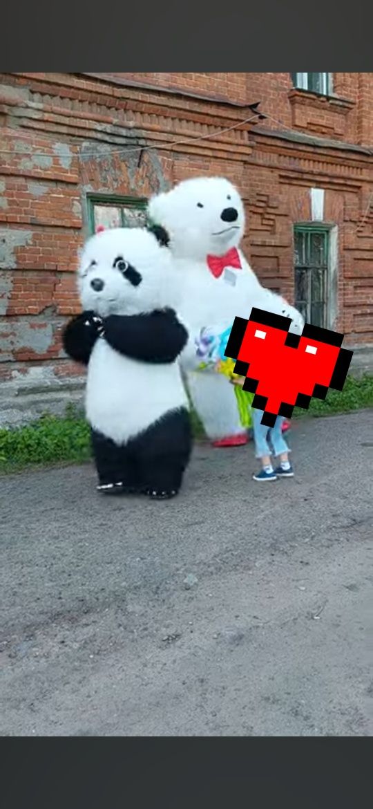 Biały miś Panda( 3m )atrakcje na imprezy wesela urodziny występy w