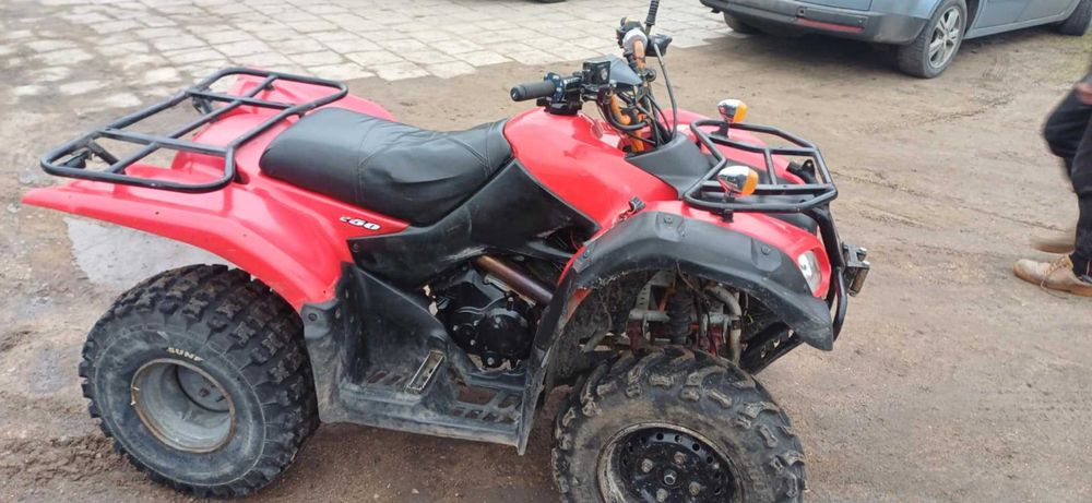 suzuki ozark 250