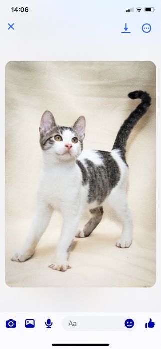 Czy ktoś nas pokocha?