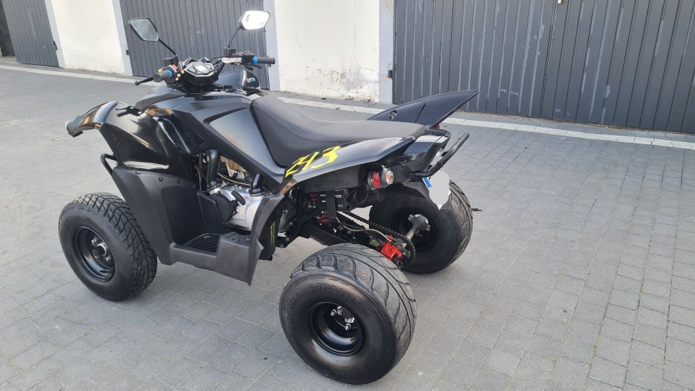 Adly 320 Access lucky star bashan shineray quad