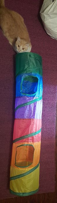 Кошачий тоннель для кота новий тонель для кішки