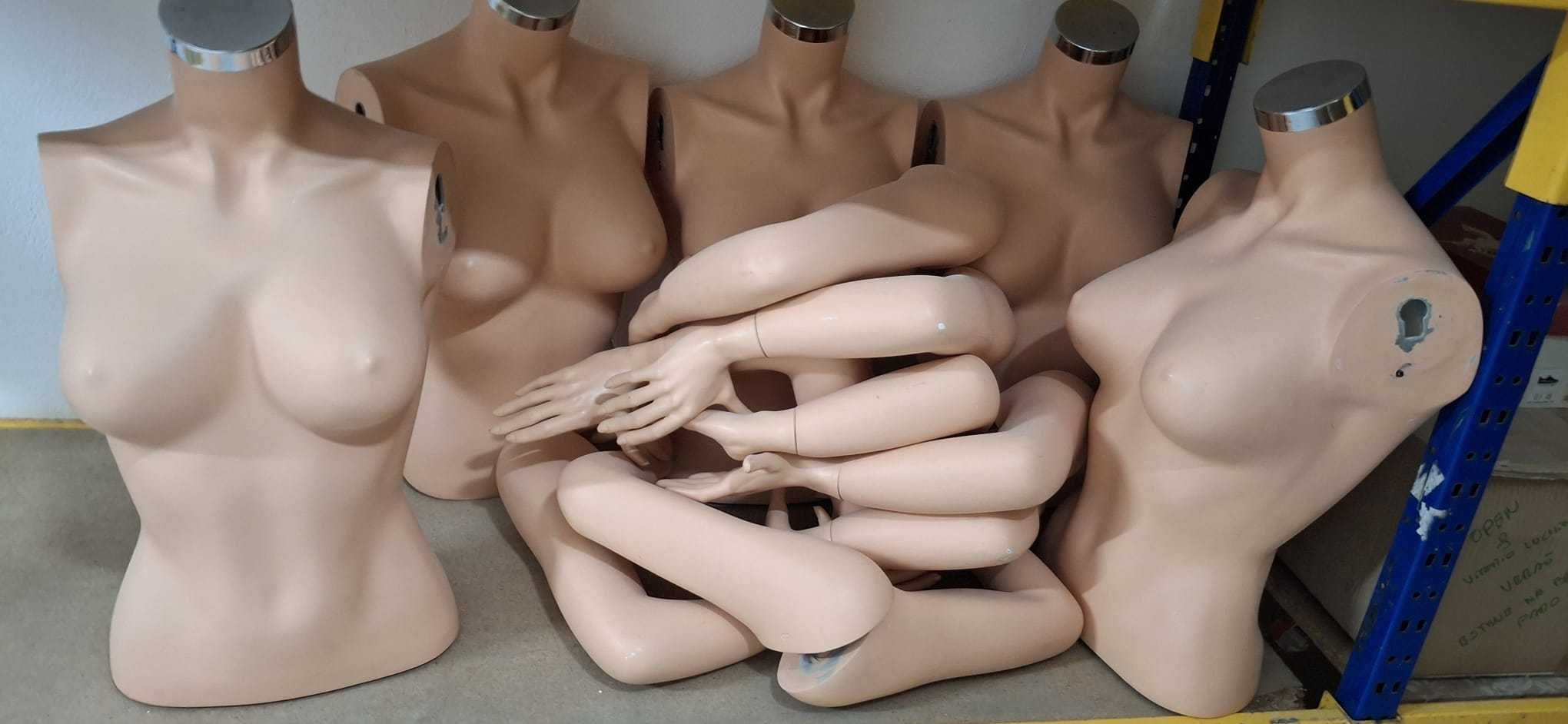 Expositores de Vestuário + manequins + bustos