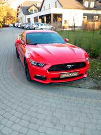 MUSTANG wynajem ślub sesje samochód do ślubu wesele :) + bus 9 osób