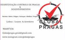 Desinfestação de Pragas / Controlo Pragas