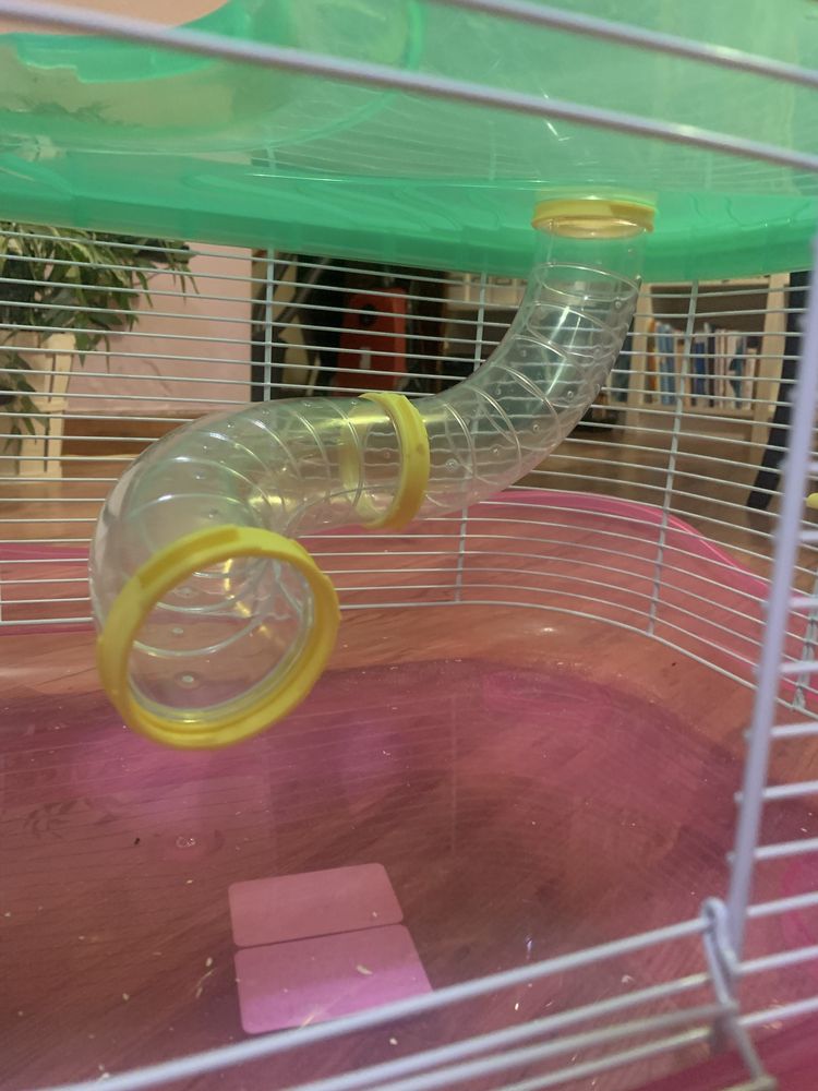 Gaiola com acessorios para hamster