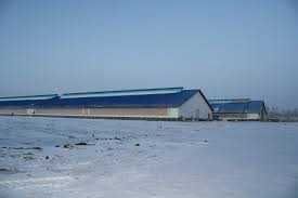 Продається комплекс сільськогосподарських приміщень