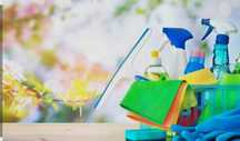 Serviços de Limpeza Doméstica e Escritórios – Profissional