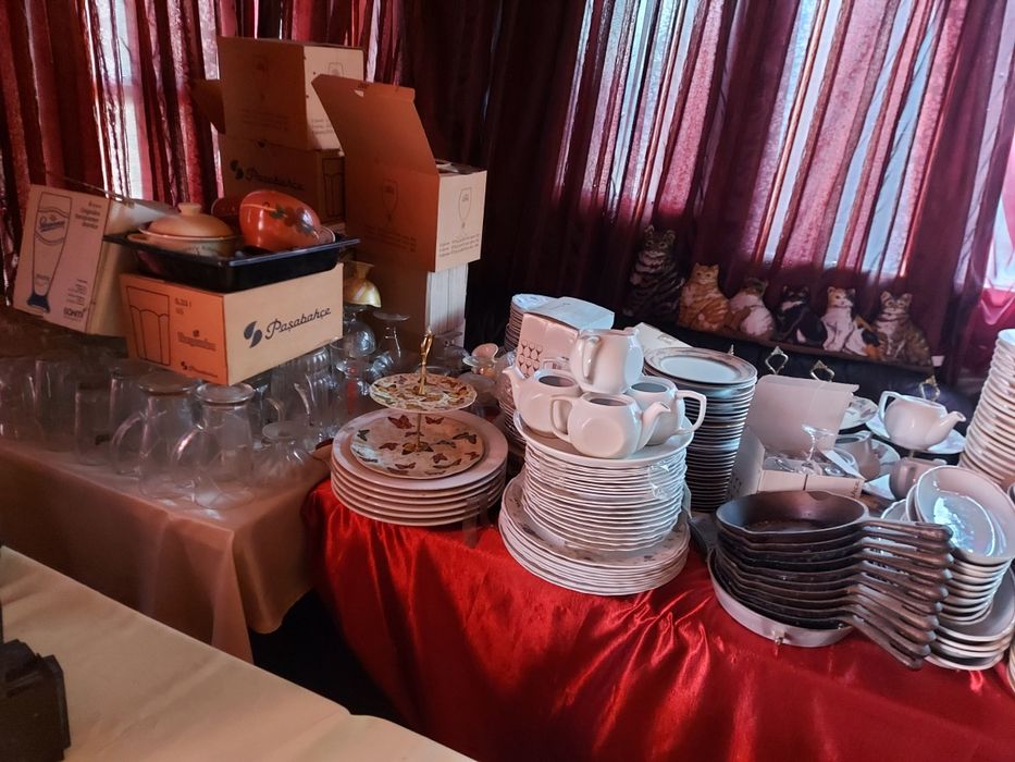 Посуда тарелки и