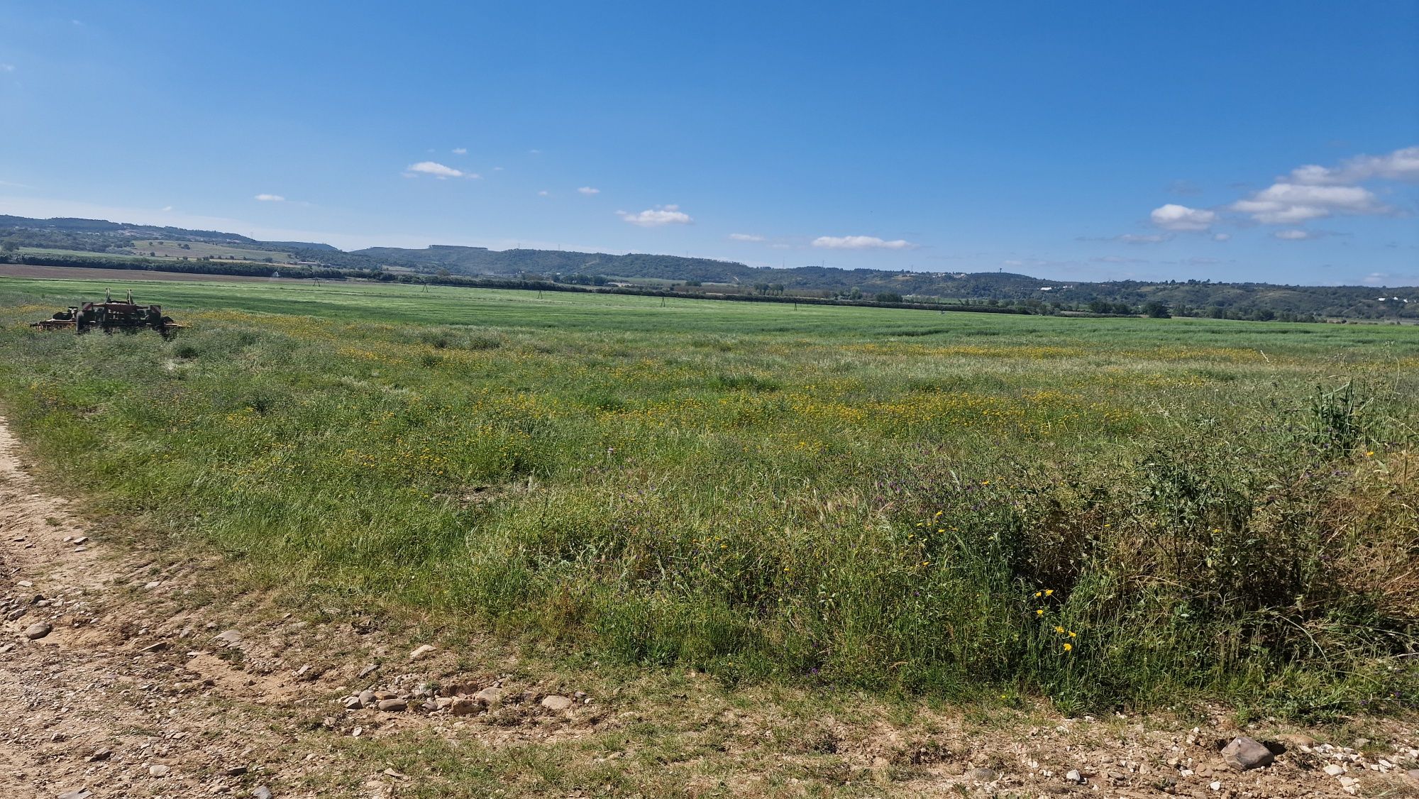 Terreno em Montalvo constância corela grande santarem  distrito Santar